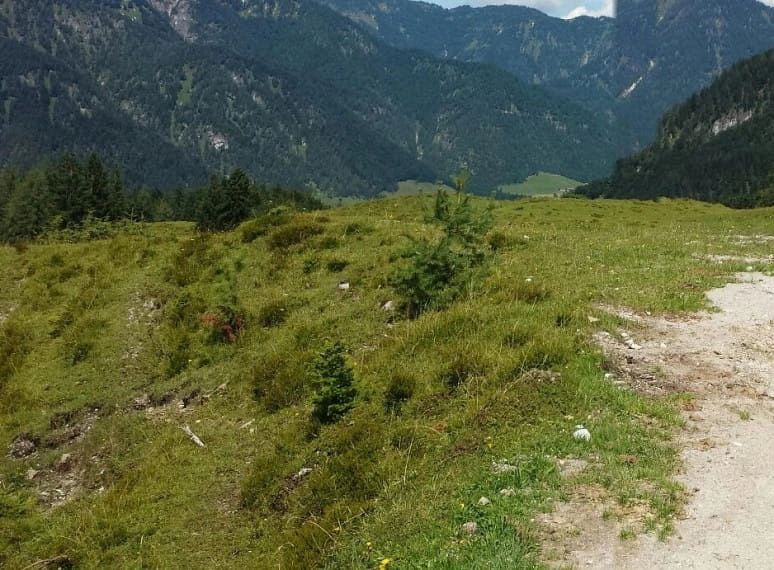 img20140810wa0001.jpg